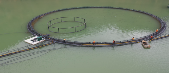 尼勒克縣:深耕&ldquo;水上糧倉(cāng)&rdquo; 打造高質(zhì)量發(fā)展&ldquo;綠色引擎&rdquo;