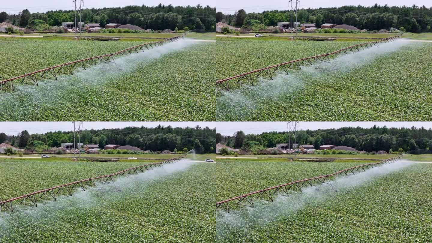 威斯康辛州中部的一片農田正在用灑水系統進行灌溉。